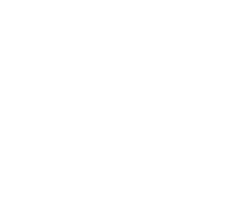 object